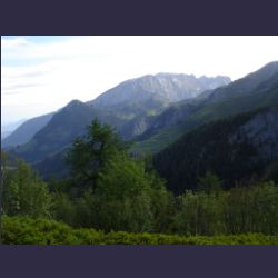 2007-05_04Gotzenalm (018).JPG